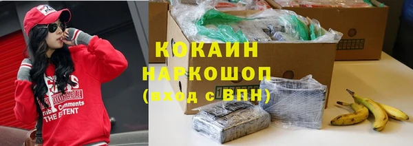 крисы Арсеньев