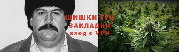 крисы Арсеньев