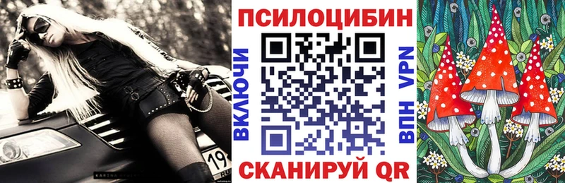 Псилоцибиновые грибы Cubensis  продажа наркотиков  Сретенск 
